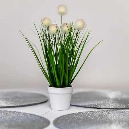 Enklawa Piamola, Z Basenem Oraz Strefa Zabaw Dla Dzieci